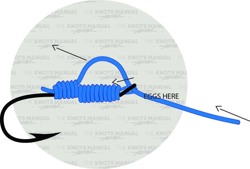 Egg Loop Knot Step by Step