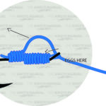 Egg Loop Knot Step by Step