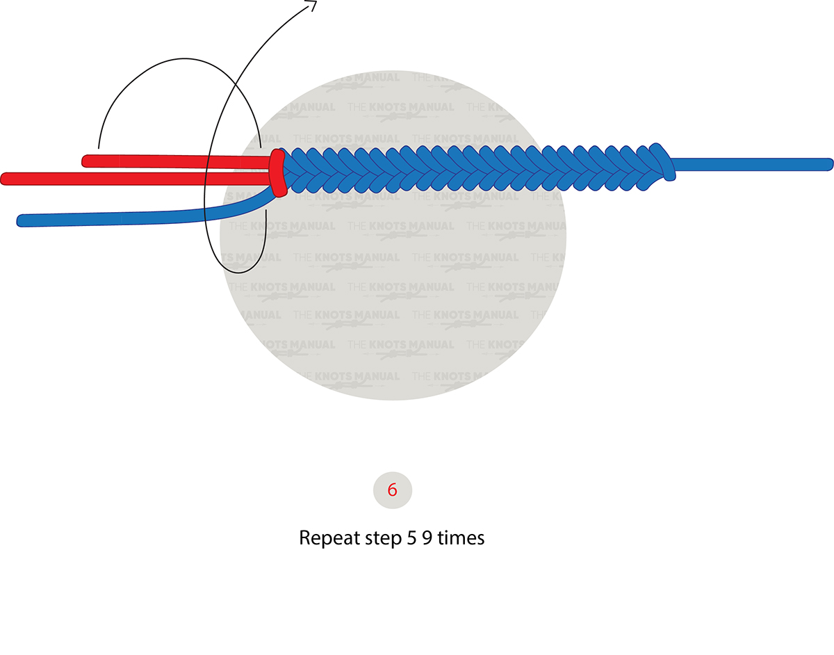 FG Knot Step 6