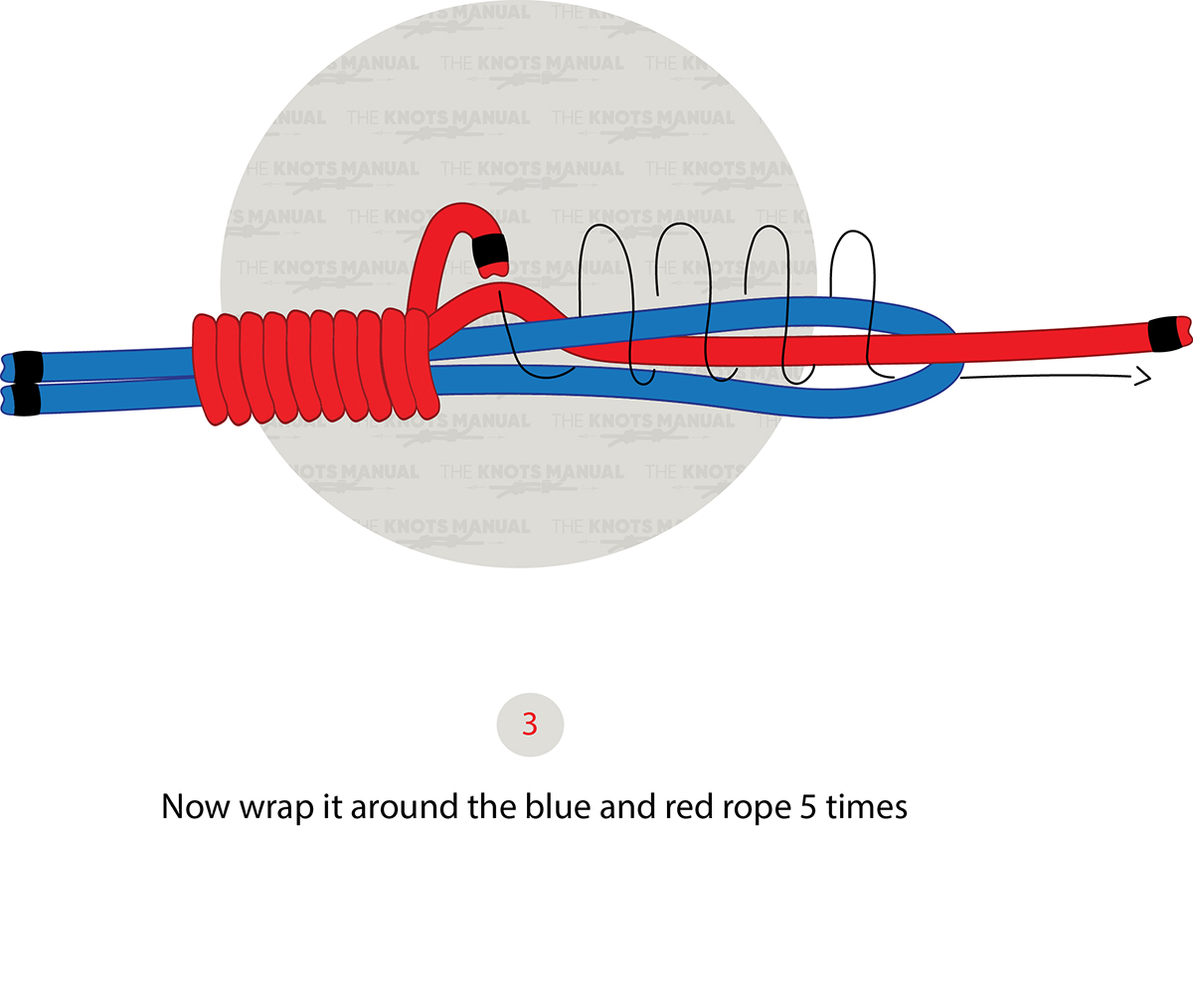 improved albright knot step 3