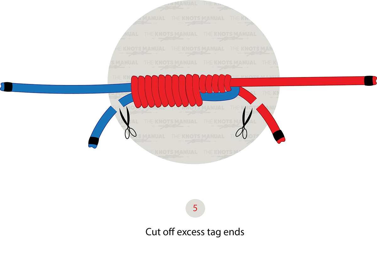 improved albright knot step 5