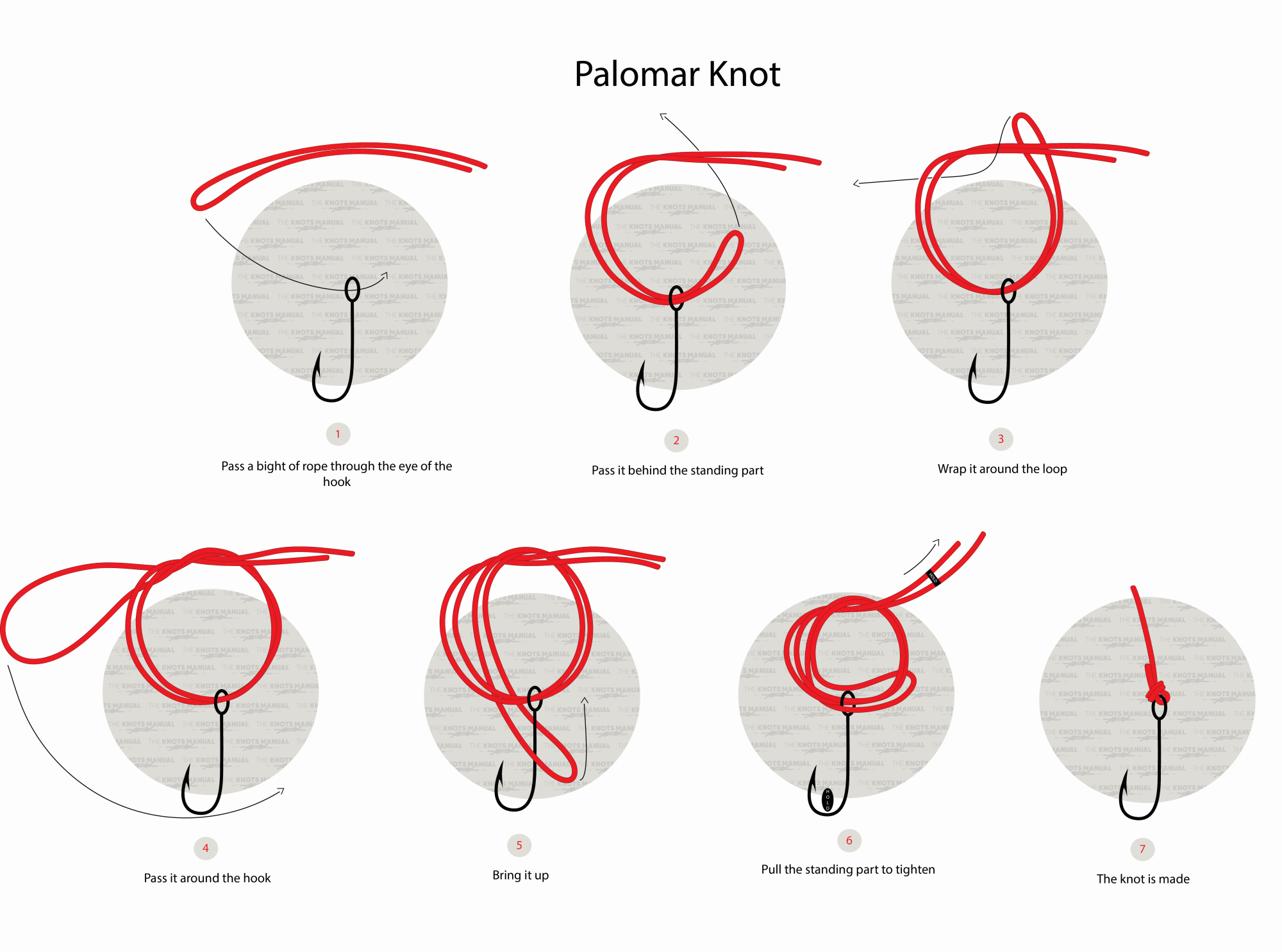 How To Tie A Palomar Knot 