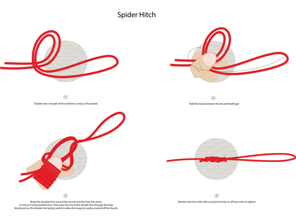 How to Tie a Spider Hitch Knot - The Knots Manual