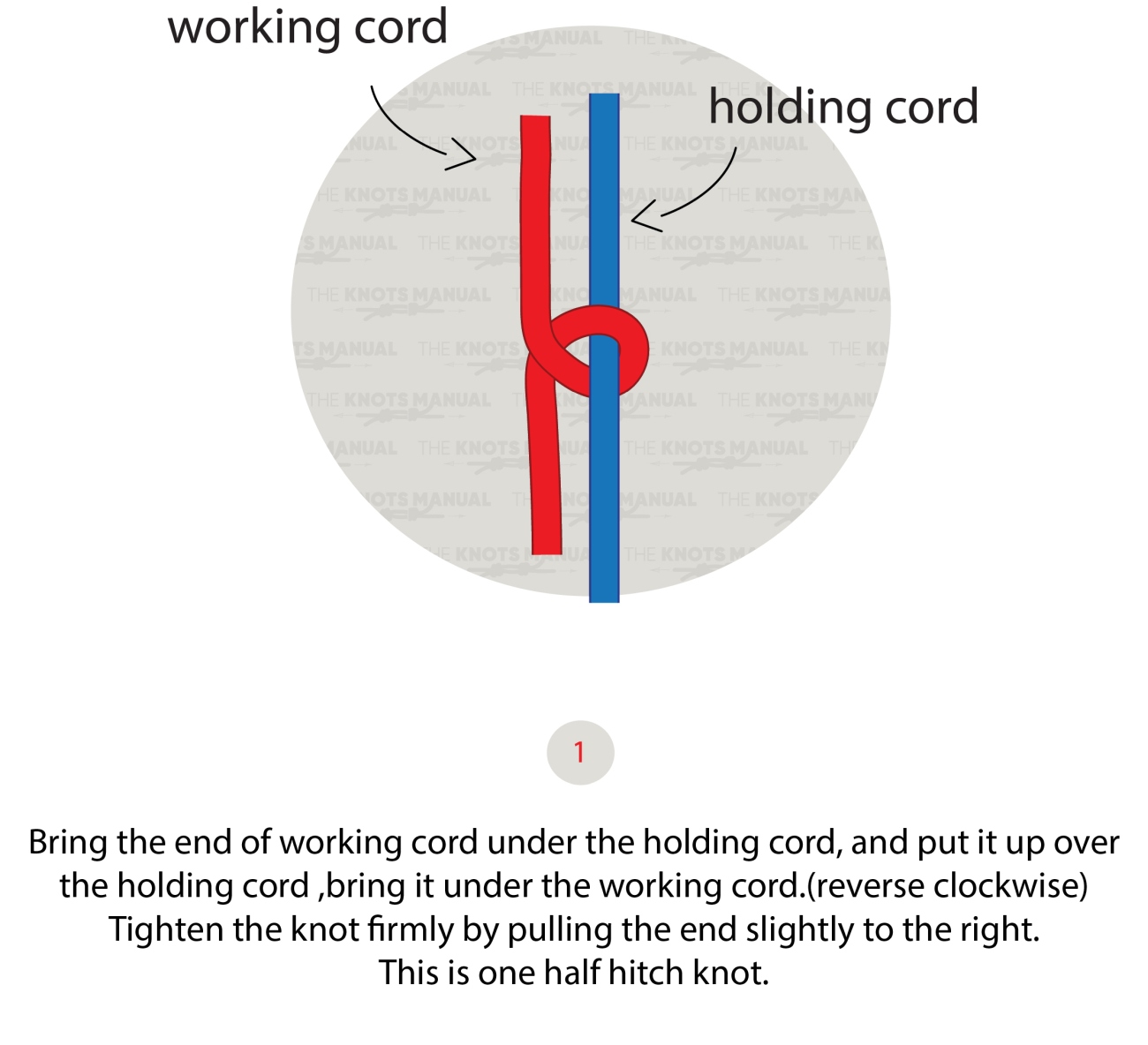 vertical half hitch knot step 1