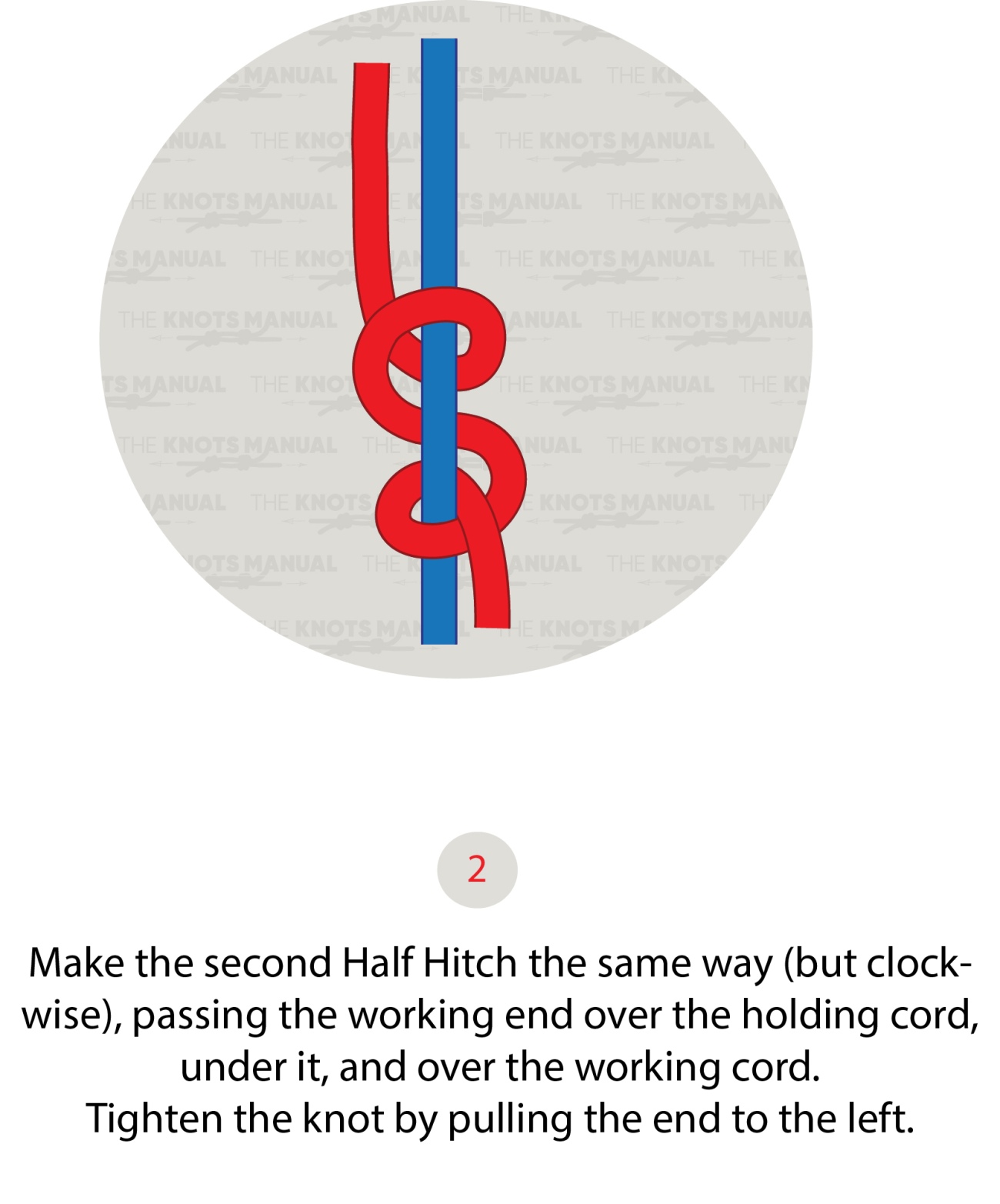 vertical half hitch knot step 2