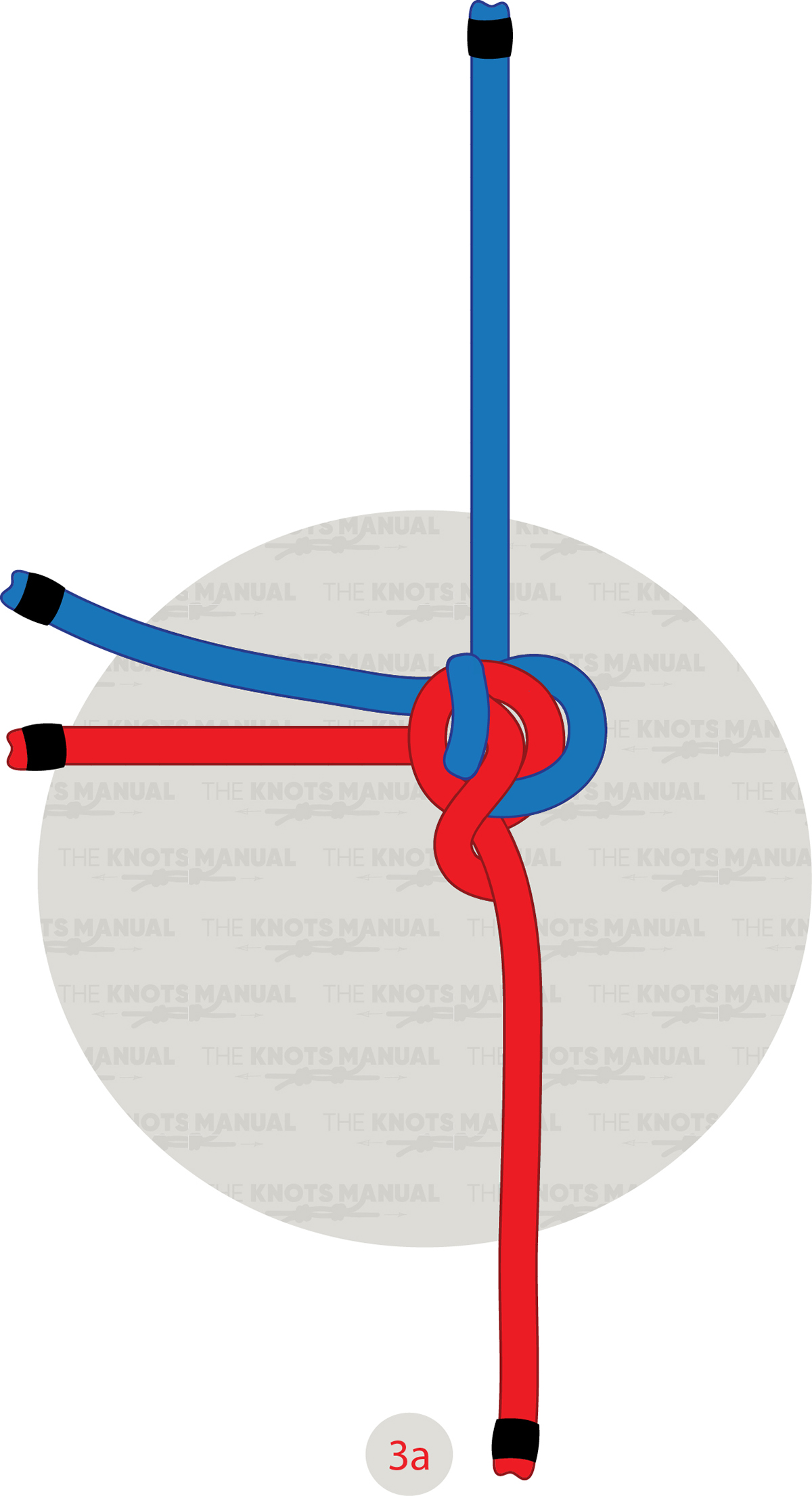 ashley-bend-knot step 3a