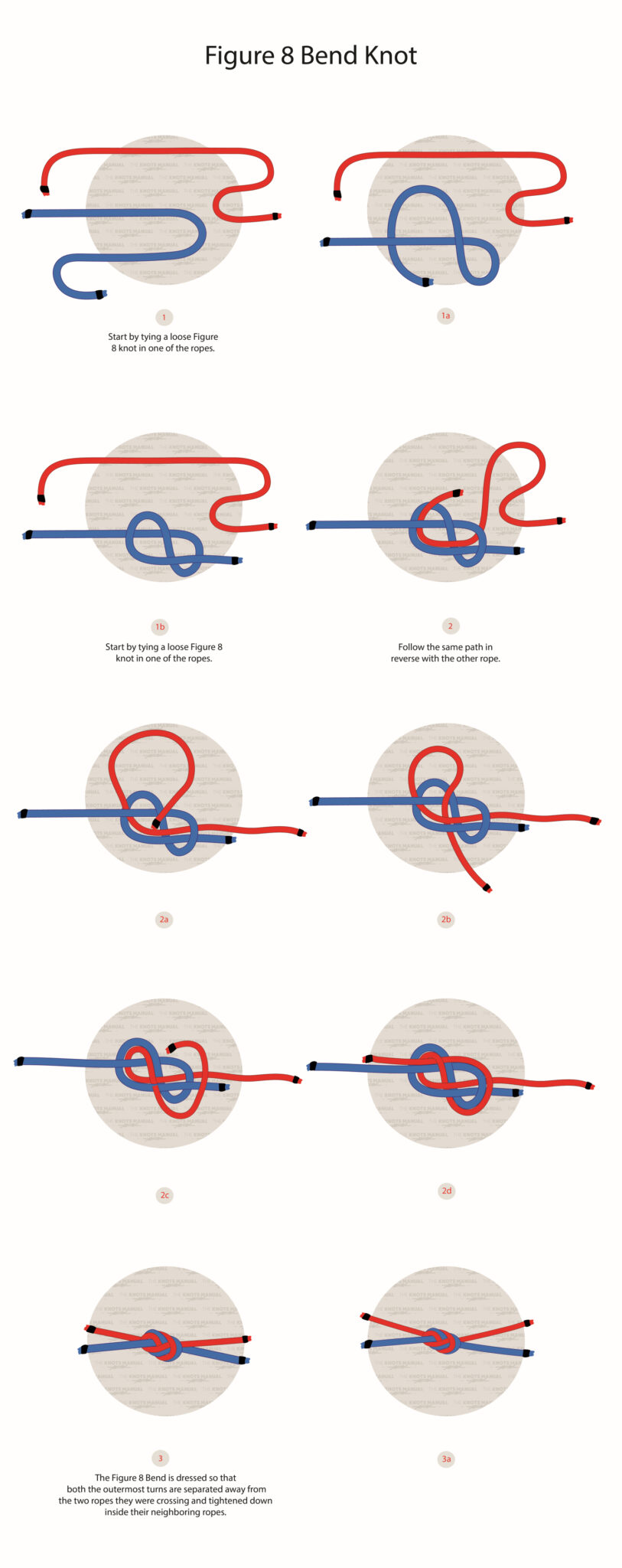 How to Tie a Figure 8 Bend Knot (Flemish Bend)