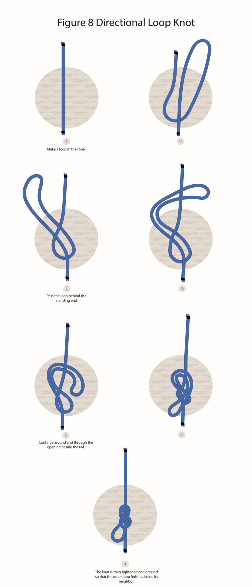 How To Tie A Directional Inline Figure 8 Loop Knot