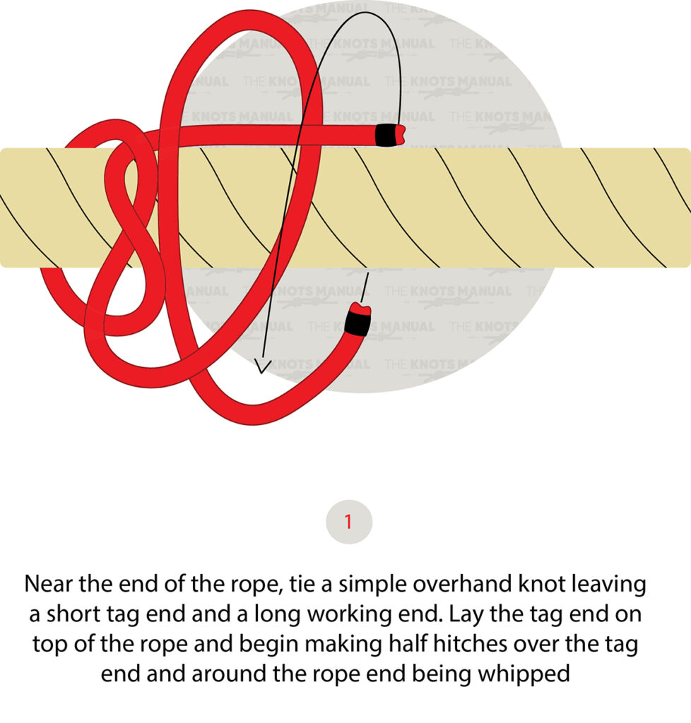 French Whipping Knot - The Knots Manual