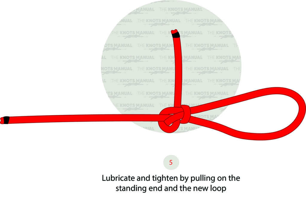 Illustrated Guide: How to Tie a Perfection Loop Knot