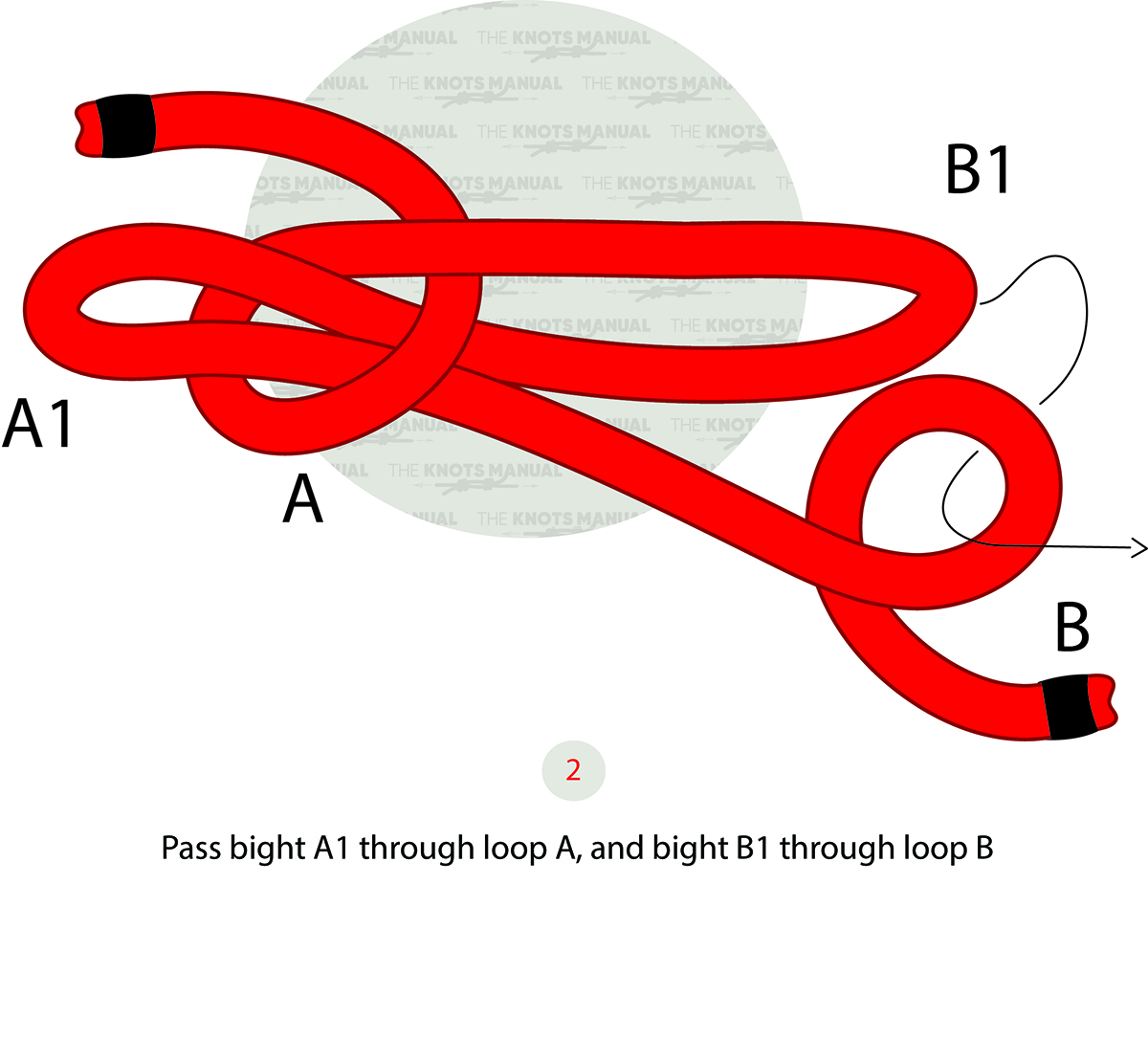 Sheepshank Knot Step 2